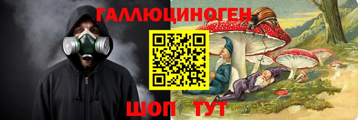 Галлюциногенные грибы MAGIC MUSHROOMS  Псилоцибиновые грибы Psilocybine cubensis  Магадан  Вход с VPN 